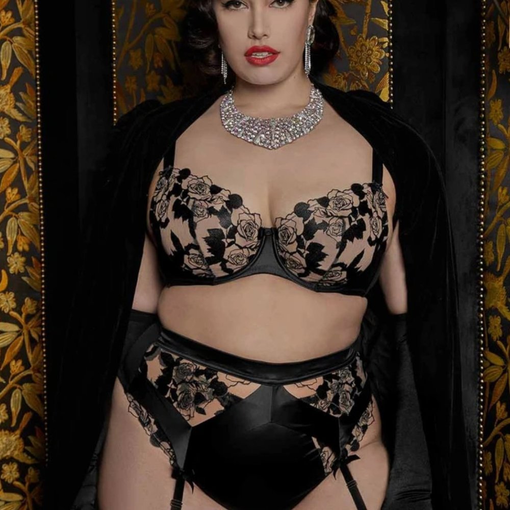 Dita Von Teese Rosabelle High Waist Thong NWT 18 - Picture 15 of 16